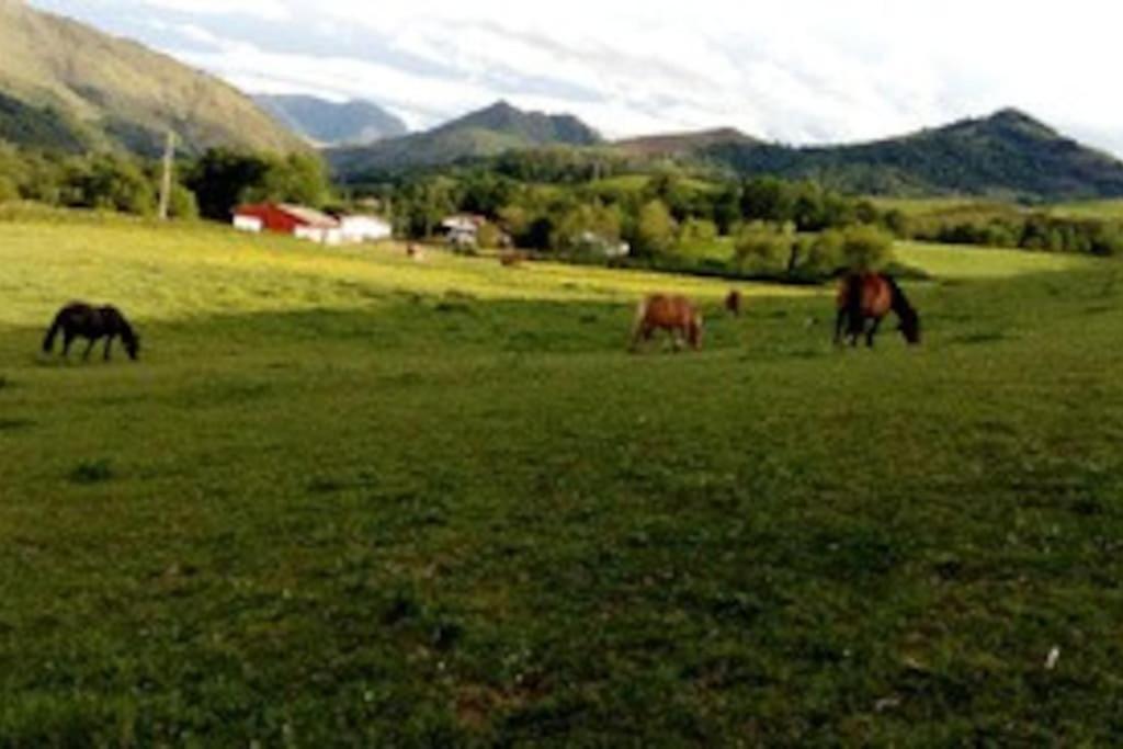 Gite Individuel Au Pays Basque A 1,5Km De St-Jean-Pied-De-Port Saint-Jean-Pied-de-Port Exterior foto